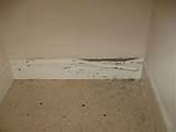 How Do You Repair Termite Damage Photos