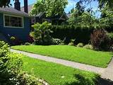 Pictures of Garden Maintenance Vancouver