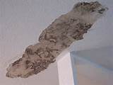 Sheetrock Termite Damage Images