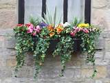 Photos of Window Box Ideas With Artificial Flowers