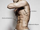 Pictures of Muscle Oblique Workout