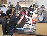 Medical Laboratory Technician School Houston Images