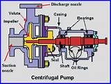 Centrifugal Pumps Report Pictures