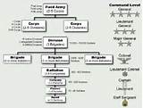Organization Of The Army Pictures