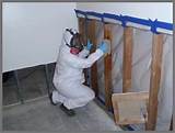 Images of Home Mold Removal Service