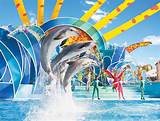 Images of Sea World Reservations