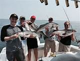 Images of Tuna Fishing Charters Boston Ma
