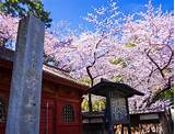 Pictures of Hotel Near Tokyo Tower