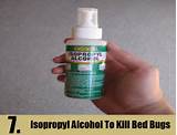Kill Bed Bugs Yourself Alcohol Photos