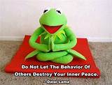 Images of Kermit Meditating