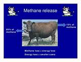 Where Does Methane Gas Come From Images