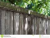 Old Wood Fence For Sale
