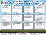 Images of Zoysia Lawn Care Calendar