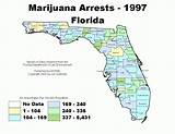 Legal Medical Weed In Florida Photos