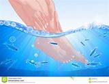 Pictures of Fish Spa Treatment