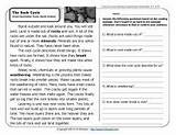 Photos of High School Science Reading Passages With Comprehension Questions
