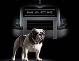 Bulldog Mack Truck