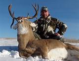 Images of Deer Hunting Outfitters In Canada