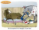 Photos of Horse Medications List