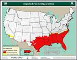 Fire Ants Usa Map Images