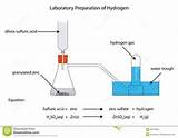 Laboratory Preparation Of Hydrogen Gas Pictures