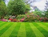 Landscaping And Lawn Care Pictures