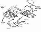 Jeep 4.2 Vacuum Hose Routing Images