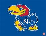 Images of University Of Kansas Jayhawk Logo