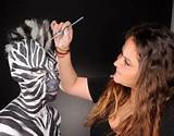 Images of Top Special Effects Makeup School
