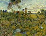 The History Of Vincent Van Gogh Images
