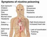 Images of What Are The Side Effects Of Smoking Tobacco