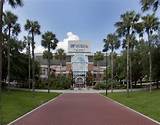 University Of Florida Request Information Images