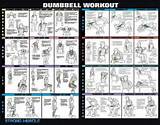 Dumbbell Workout Exercises Photos