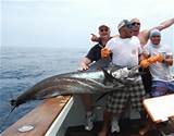 Costa Rica Marlin Fishing Season