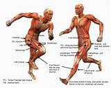 Muscle Strengthening For Runners