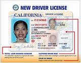 Images of The License Place