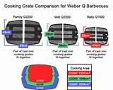 Weber Q 3200 Propane Gas Grill Images