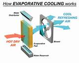 Evaporative Cooling Biology Photos