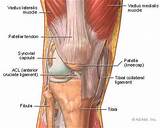 Knee Joint Muscle Strengthening Pictures