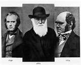 Photos of Summary Darwins Theory Of Evolution By Natural Selection