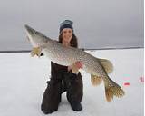 Photos of Northern Pike Ice Fishing Tips