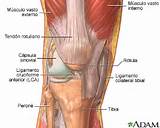 Physical Exercise For Knee Pain Images