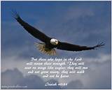 Photos of Eagle Quotes Images