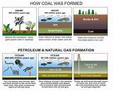 How Are Fossil Fuels Formed