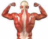 Muscle Lats Exercise