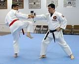 Martial Arts Fighting Styles Pictures