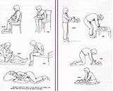 Pelvic Floor Exercises After Birth Pictures