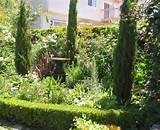 Backyard Landscaping With Trees Images