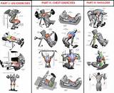 Pictures of Exercise Program Muscle Building