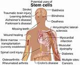 Stem Cell Research Doctors Images